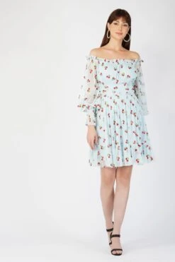 Robin Glitter Cherry Print Dress -Tulle Clothing 11 2 53156fa4 99b8 4dc3 88f5 1cf4b10df946