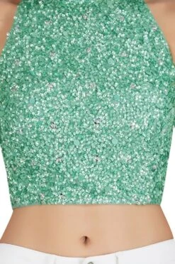 Gui Pastel Green Sequin Top -Tulle Clothing 5 f25f2d3b feb3 4b1e ab3d 2cbcddc1165a