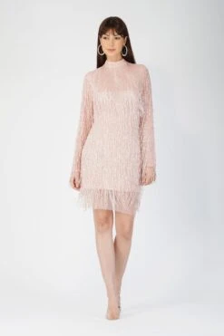 Elena Embellished Pink Tassel Mini Dress -Tulle Clothing AliyaElena 1