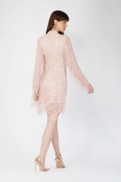 Elena Embellished Pink Tassel Mini Dress -Tulle Clothing AliyaElena 5
