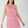 Amarato Embellished Pink Fringe Mini Dress
