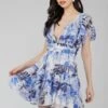 Madison Blue Printed Chiffon Mini Dress
