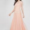 Lilith Floral Embellished Maxi Dress In Blush Pink -Tulle Clothing FairyTaleDresses 21 edited