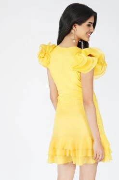 Fairy Flutter Sleeve Mini Dress In Yellow -Tulle Clothing Fairy 2