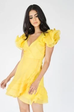 Fairy Flutter Sleeve Mini Dress In Yellow -Tulle Clothing Fairy 4