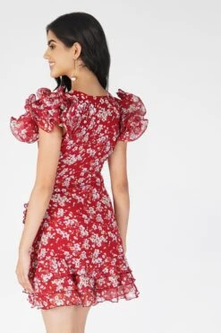 Fairy Printed Red Mini Dress 11 Fairy Printed Red Mini Dress -Tulle Clothing Fairy 7