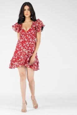 Fairy Printed Red Mini Dress 9 Fairy Printed Red Mini Dress -Tulle Clothing Fairy 9