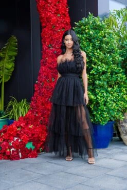 Natalia Tulle Maxi Dress In Black 8 Natalia Tulle Maxi Dress In Black -Tulle Clothing NataliaBlack 2