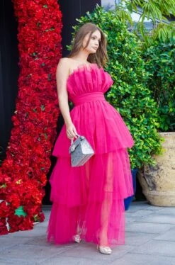 Natalia Tulle Maxi Dress In Bright Pink