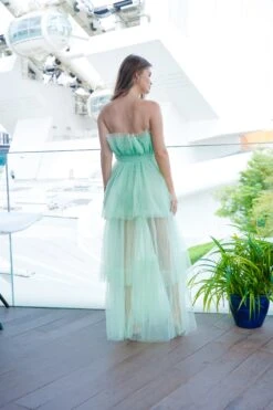 Natalia Tulle Maxi Dress In Sage Green 7 Natalia Tulle Maxi Dress In Sage Green -Tulle Clothing NataliaSage 1