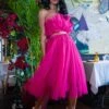 Nyra Tulle Top In Hot Pink -Tulle Clothing NyraBrightPink 1