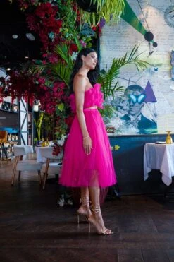 Nyra Tulle Top In Hot Pink 7 Nyra Tulle Top In Hot Pink -Tulle Clothing NyraBrightPink 3