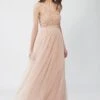 Ursa Blush Pink Embellished Maxi Dress -Tulle Clothing Ursa 3