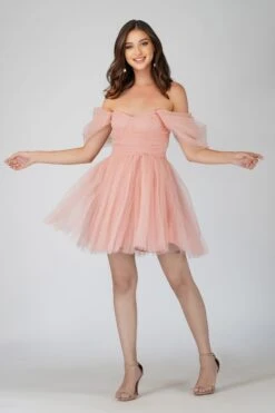 Sydney Light Pink Tulle Mini Dress -Tulle Clothing sYDNEYMINI 2 Copy