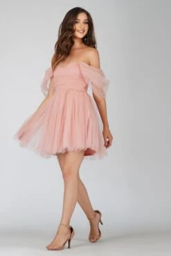 Sydney Light Pink Tulle Mini Dress -Tulle Clothing sYDNEYMINI 4 Copy